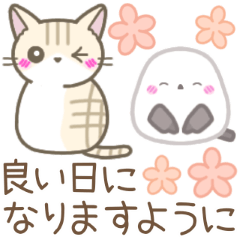 毎日ずっと使える☆ネコシマコンビ