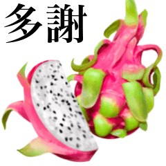 Tropical Dragon Fruit 13