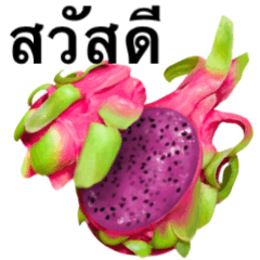 Tropical Dragon Fruit 7