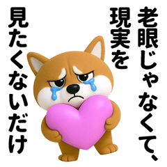 Menopausal Shiba Inu