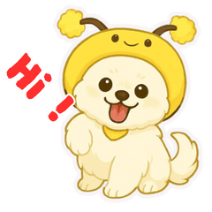 The Lin family's three white Pomeranians