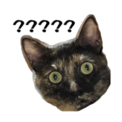 欠揍唬呼-第一彈