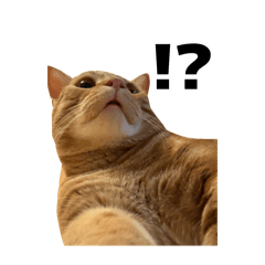 Matuki Takeo_20250829005957