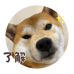 kurume_20250829015103