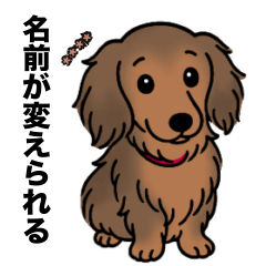 名前入りダックスシェーデッドレッド②