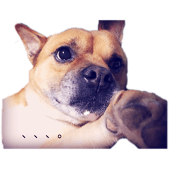 tetsu_20250829034509