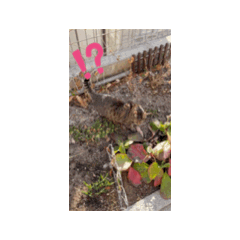 S_20250829125055