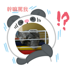 哈哈哈哈拉拉啦