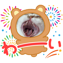 CHIHIRO_20250829180346