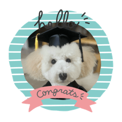 maimai_20250829153001