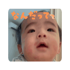 ho_20250829160321