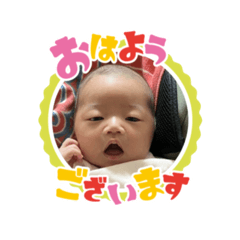 hachi_20250829131340