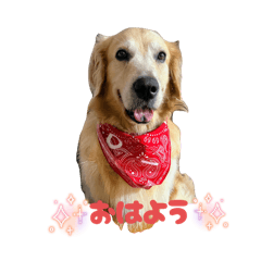 Natsu_20250829132012