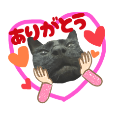 K_20250829173607