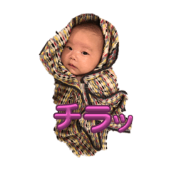 Sakura_20250829162440