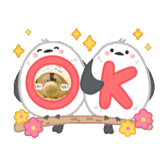 陳波比動圖）