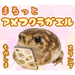 まるっとアメフクラガエル