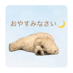 nanami_20250829191416