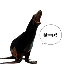 M_20250829201100