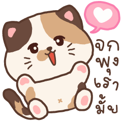 คินัว เหมียวกลมฟู น่ากอด