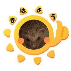 T_20250829204036