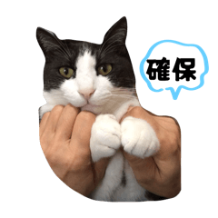 Nyapo_20250829204137