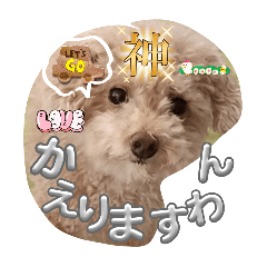 KURUMI_20250829210311