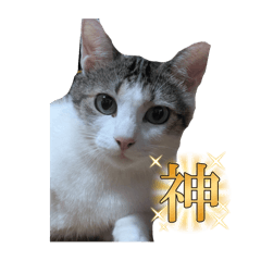 Watoson_20250829210433