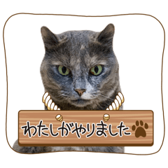 kana_20250829221135