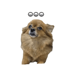 boyfriend_20250830052917