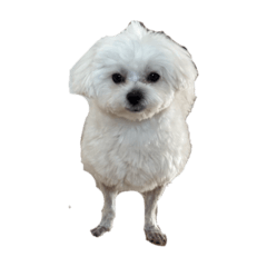 NANAMI_20250829232347