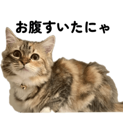 KAORI_20250829224330