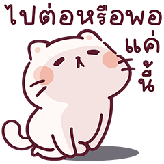 แมวพีนัท V.3