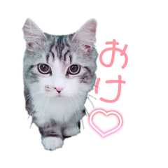 chiitan_20250830013200