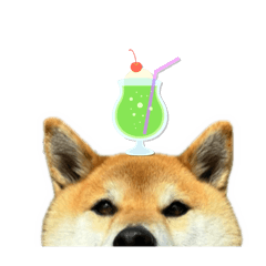 atdg286458856358896665