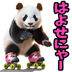 静岡弁☆パンダ