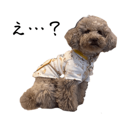 SHIHO_20250830110314