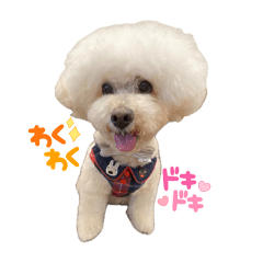 cream_20250830073045