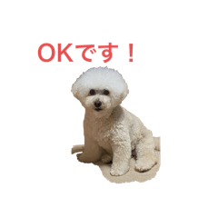 cream_20250830073312