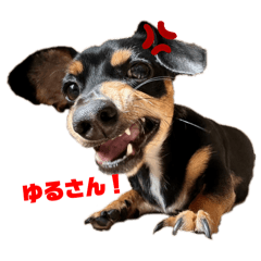 HAPPY_20250830110323