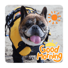 torajiro_20250830083957