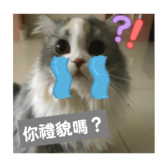 你禮貌嗎？我沒惹你吧