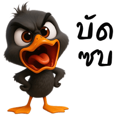 Cheeky black Duck (THAI)