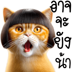 เจ้าแมวส้มตัวป่วน ❤️ป๊อปอัพ ขยับได้❤️