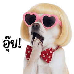 The trendiest in the neighborhood (BIG)