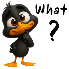 Cheeky black Duck (ENG)