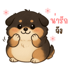 A chubby little dog, cute and huggable.