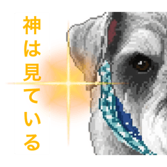 tonkotu_20250830092217