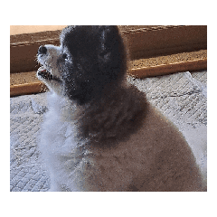 setsu_20250830202136
