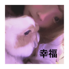 多多多多醬